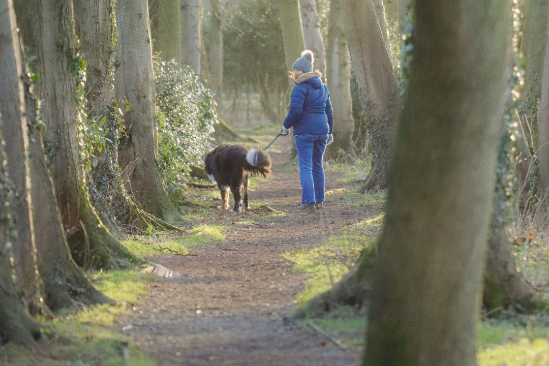 Woman walking her dog on a new woodland trail to add enrichment to their daily walk