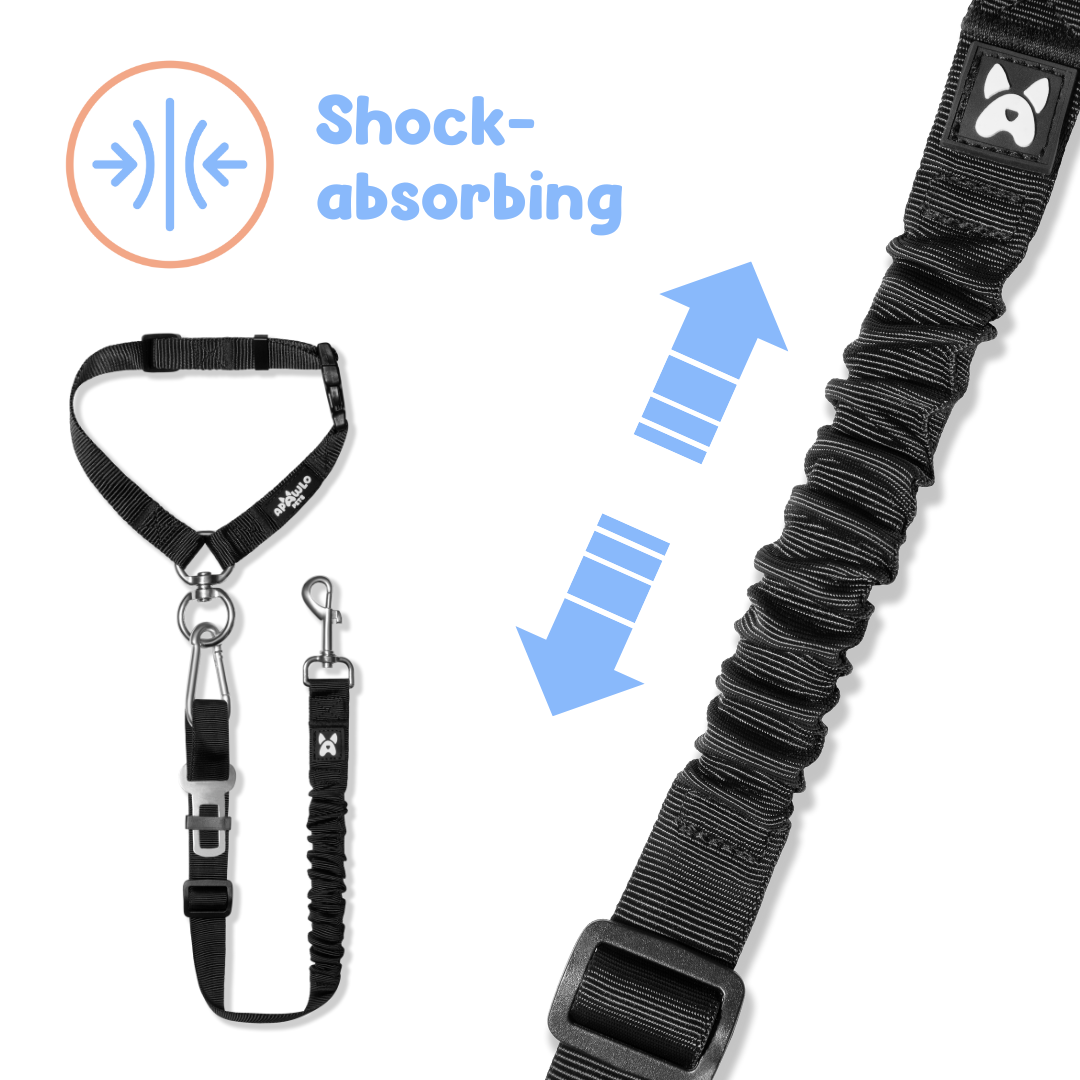 2-in-1 Dog Car Safety Restraint