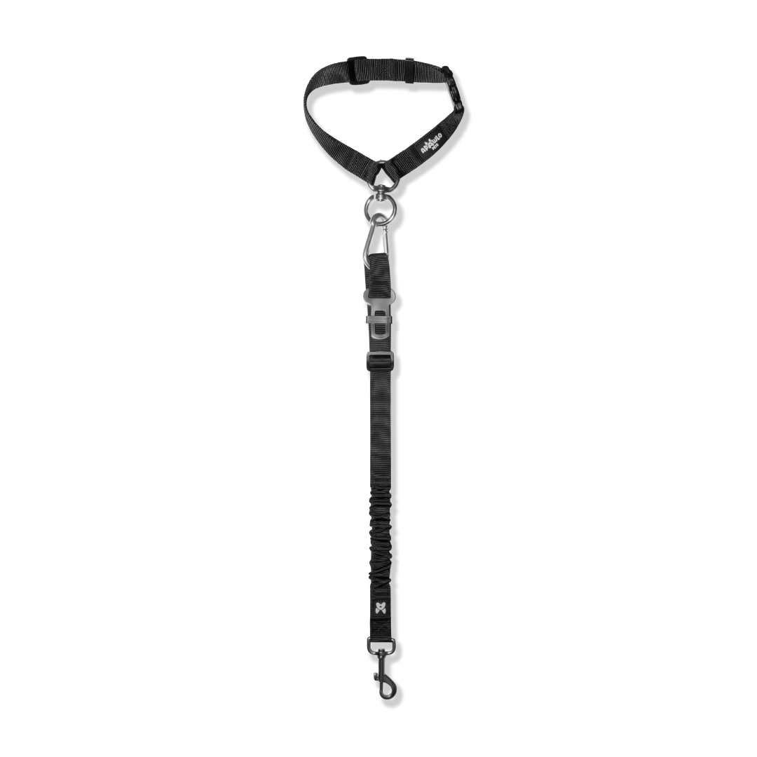 2-in-1 Dog Car Safety Restraint