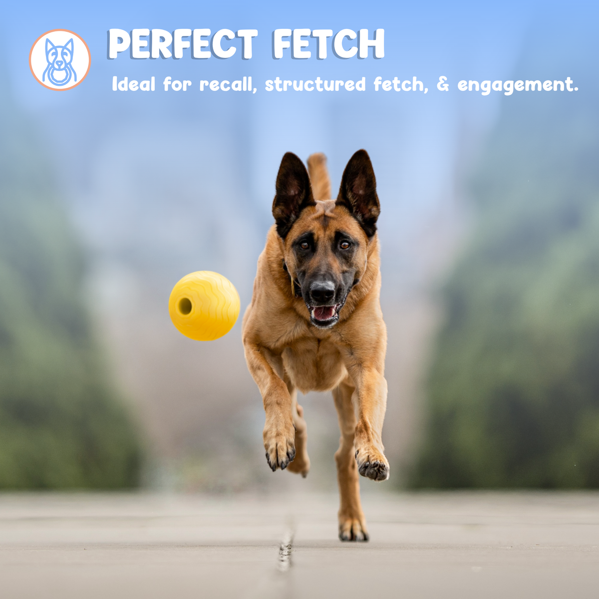 Foam Fetch Ball (2 Pack)