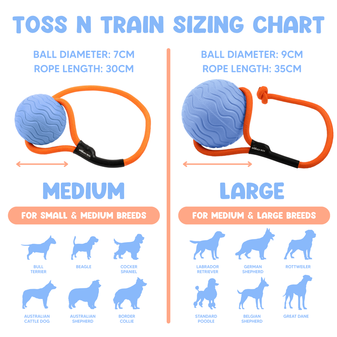 Toss n’ Train Tug Ball