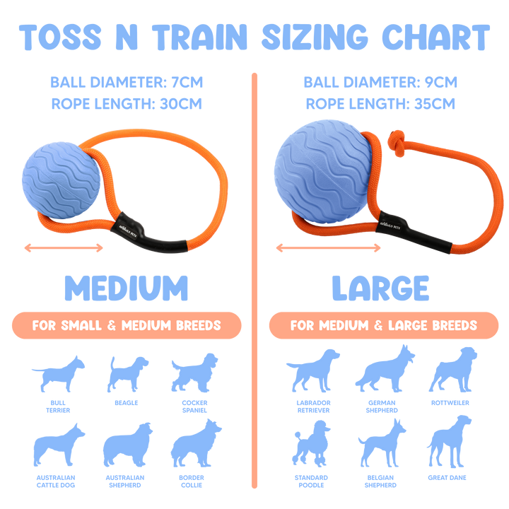 Toss n’ Train Tug Ball