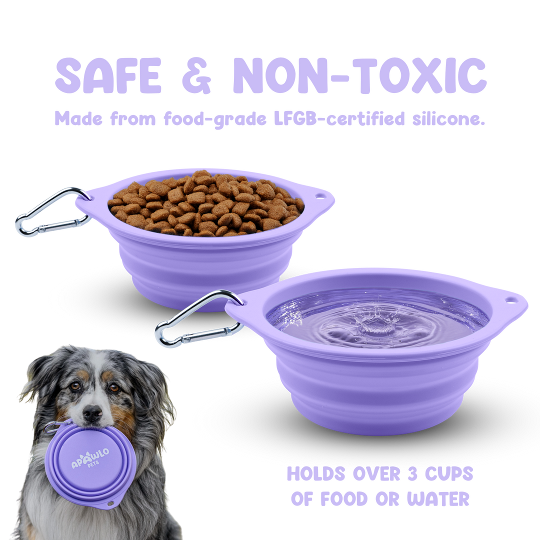 Pop-Up Bowl (800ml)