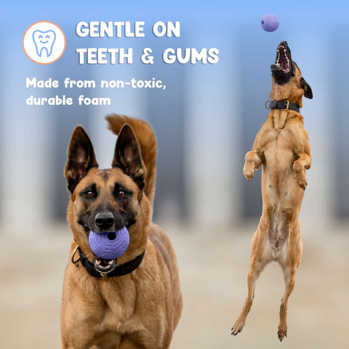 Foam Fetch Ball (2 Pack)