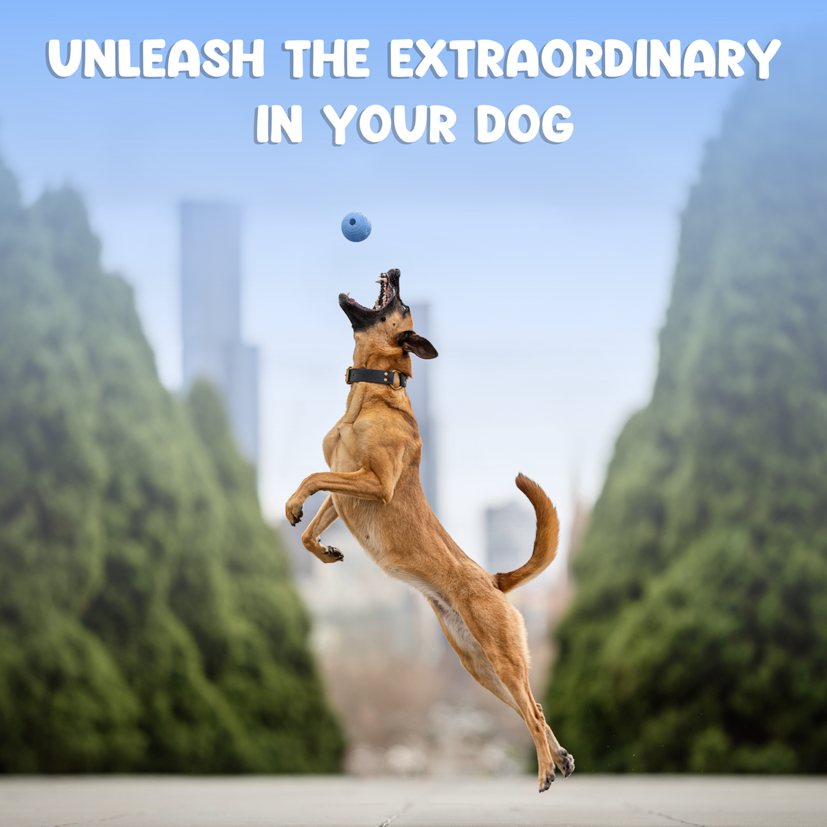 Foam Fetch Ball (2 Pack)