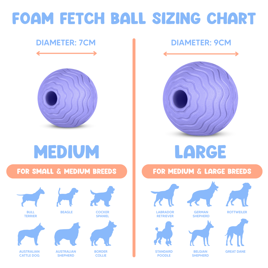 Foam Fetch Ball (2 Pack)