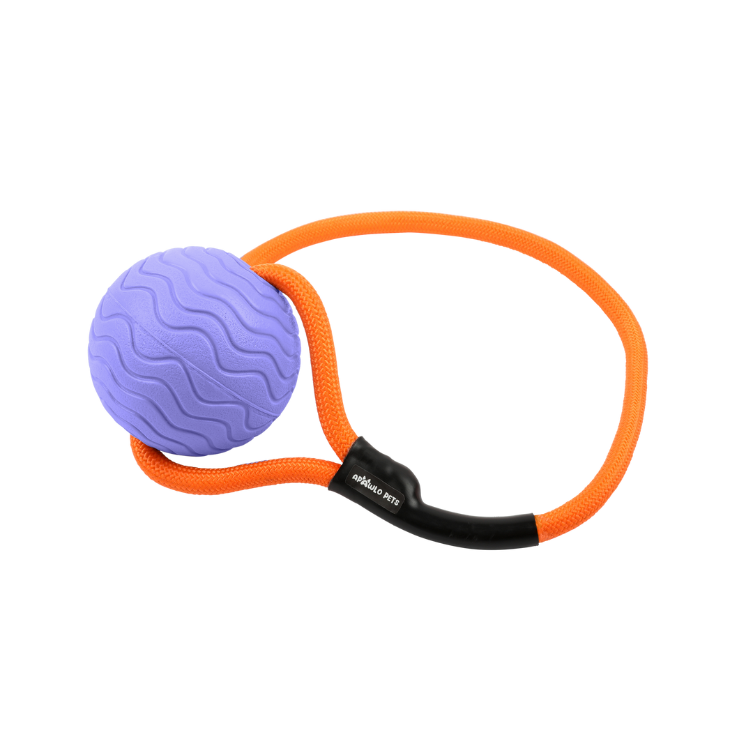 Toss n’ Train Tug Ball