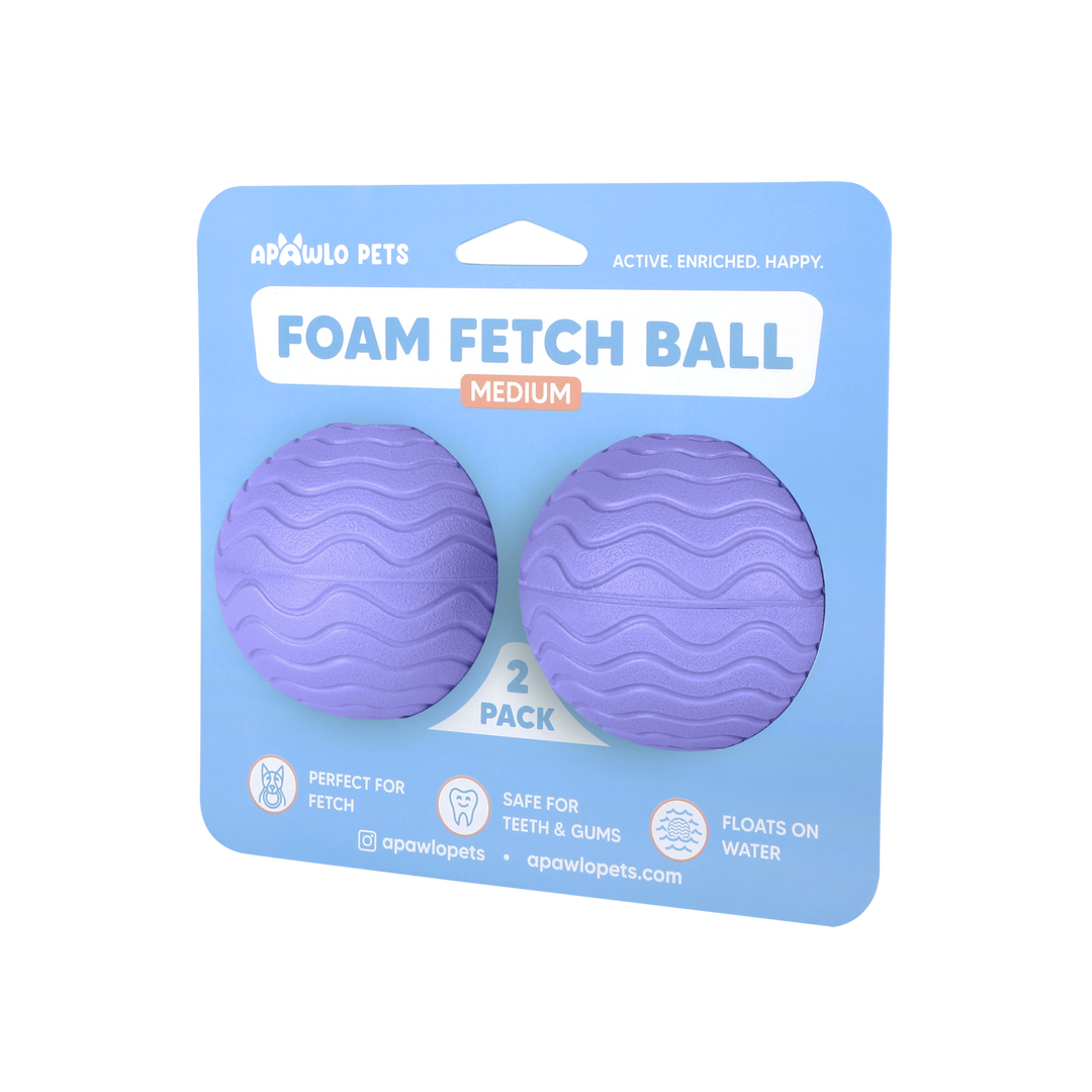 Foam Fetch Ball (2 Pack)