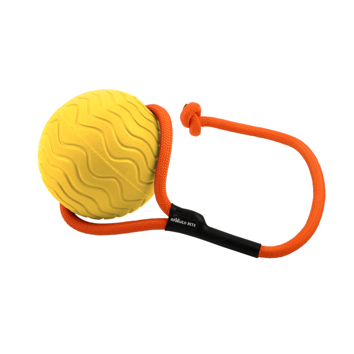 Toss n’ Train Tug Ball