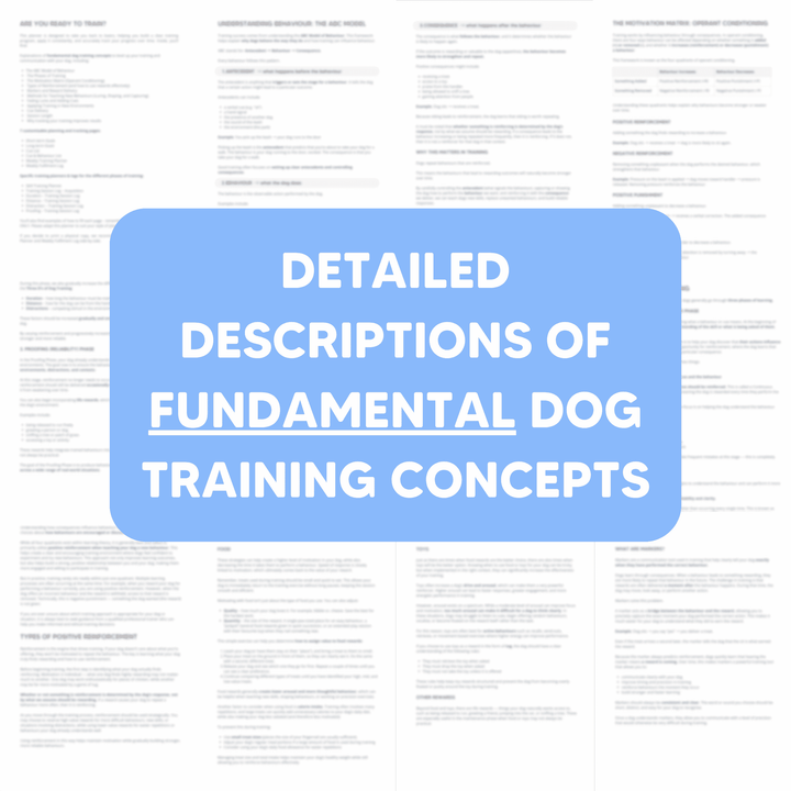 Back to Basics: Dog Training Planner