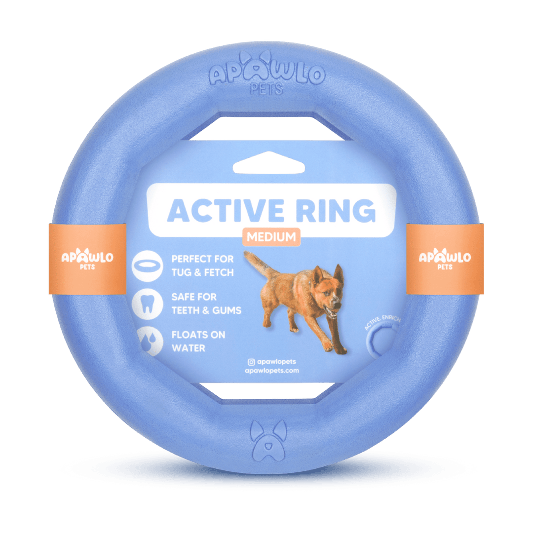  Dog Fitness Toy