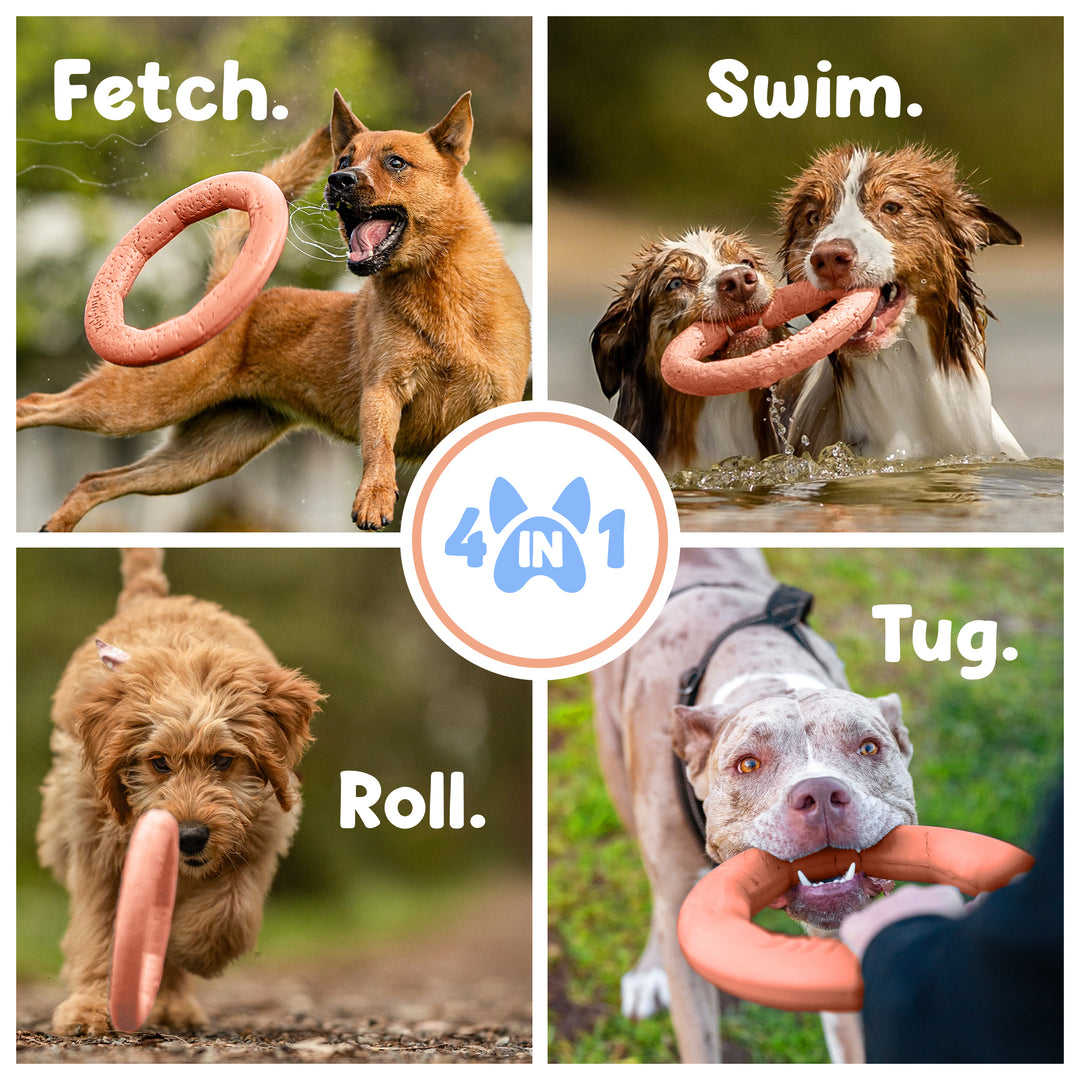 Active Ring (2 Pack) Dog Fitness Toy