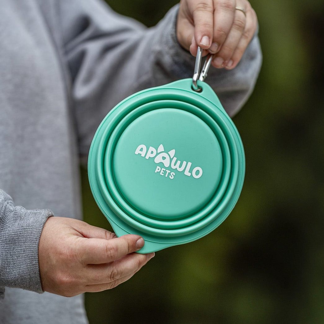 Person holding a teal pet bowl with 'Apolo' branding against a blurred green background