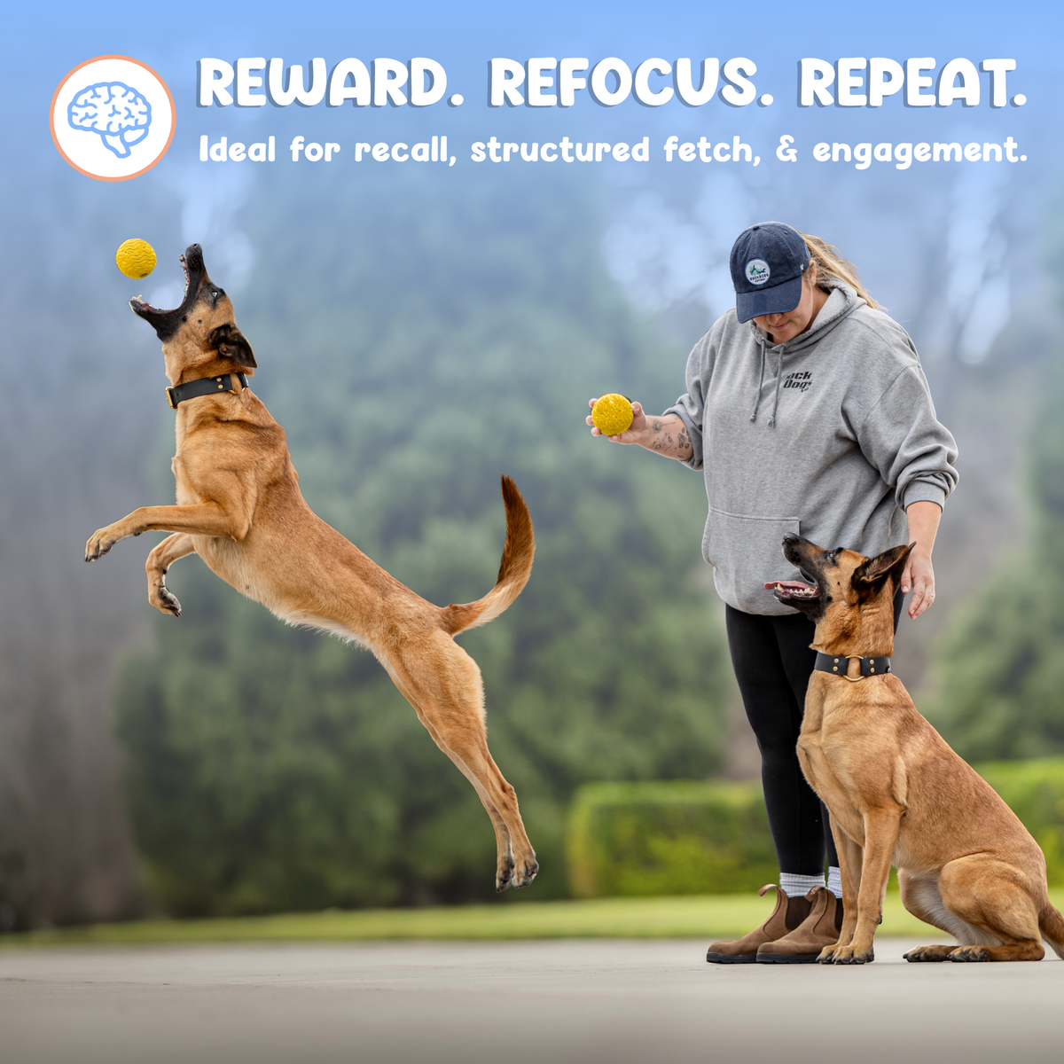 Foam Fetch Ball (2 Pack)