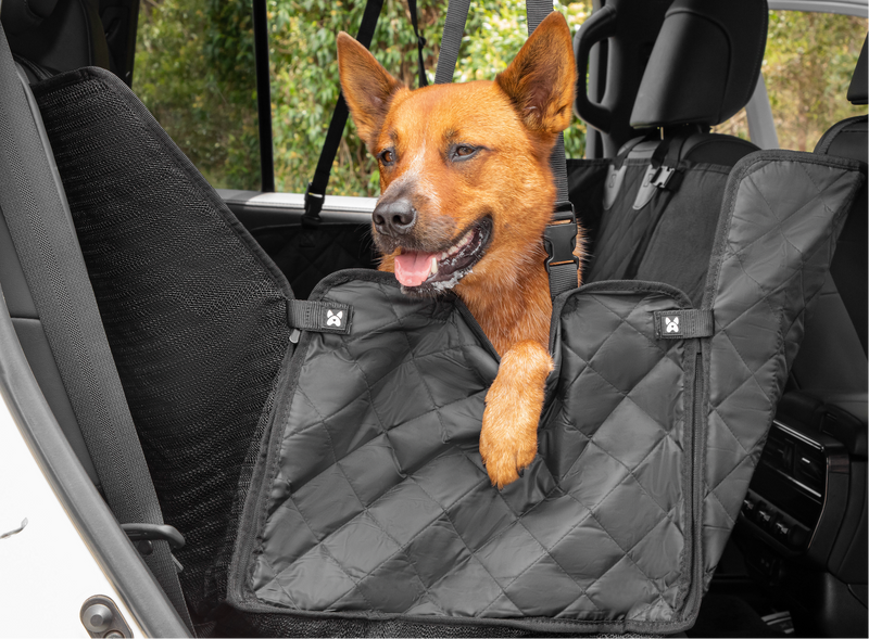 Travel Accessories