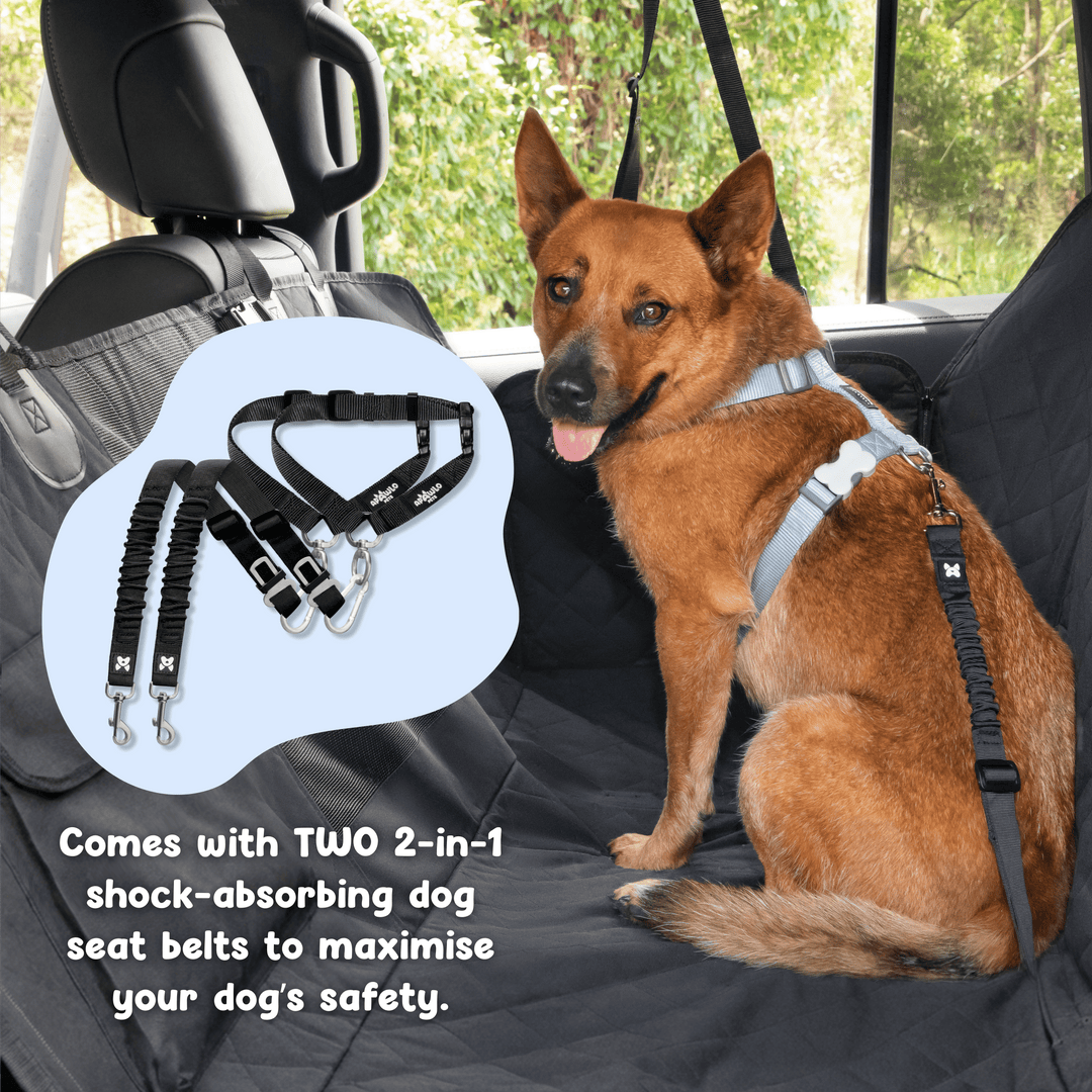 Dog secured in car with two 2-in-1 shock-absorbing seatbelts attached to dog car seat cover #drive-configuration_left-hand-drive