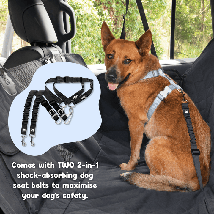 Dog secured in car with two 2-in-1 shock-absorbing seatbelts attached to dog car seat cover #drive-configuration_left-hand-drive
