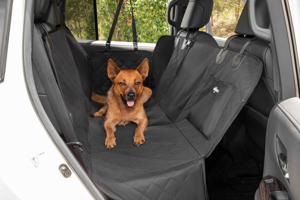 Dog sitting up in the back seat of a car on the APAWLO 4-in-1 car seat cover, fully installed across both seats